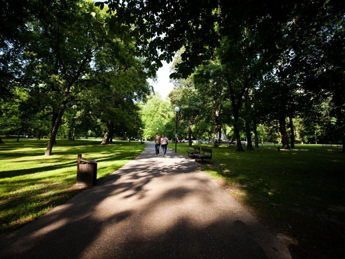 park stromy cesta ľudia ilu 1140 px (SITA/Diana Černáková)